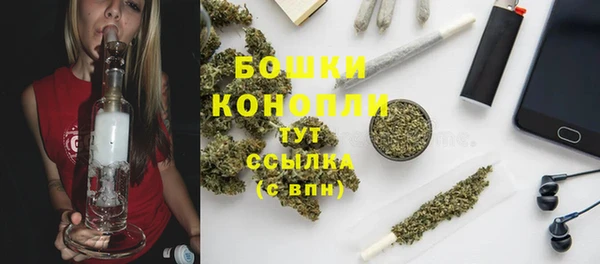 прущие грибы Верхнеуральск