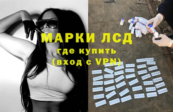 прущие грибы Верхнеуральск