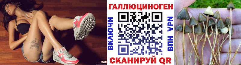 Галлюциногенные грибы мухоморы  Дальнереченск 